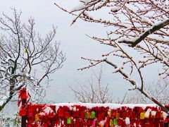 -香山公园