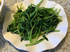 -文三里屯面馆(三里屯店)