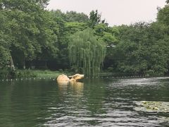 -西湖天地