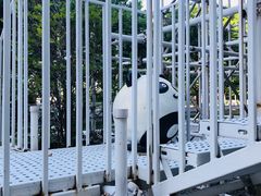 -证大喜玛拉雅中心