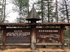 -峡谷浮石林景区