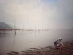 -北岐滩涂