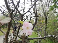 -白鹭湾湿地公园