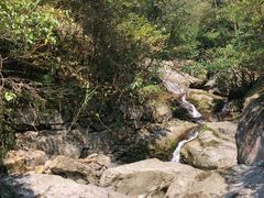 -东天目山风景区