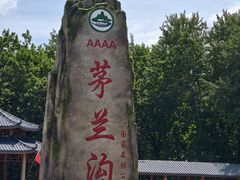 -茅兰沟国家森林公园