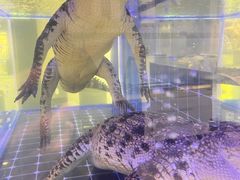 -川骄海鲜自助(河东店)