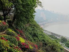-新都巷步道