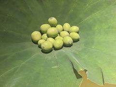 -桂语山房(满觉陇店)