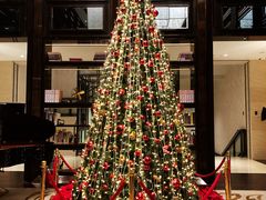 -行者书屋大堂吧 ·下午茶(南京圣和府邸酒店)