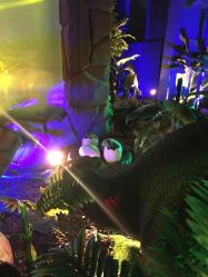 点击看大图 -恐龙探索乐园(磁器口店)