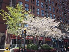 -渔人码头(中南店)