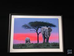 -罗红摄影艺术馆