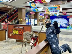 -哈尔滨热雪奇迹