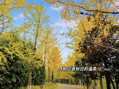-观山湖公园