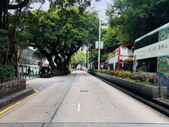 -香港尖沙咀皇悦酒店