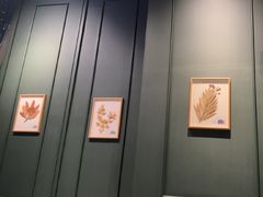 -章记星洲 · 新加坡餐厅(望京店)