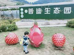 -普迪生态园