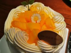 -花菇朵·云山雀 ll 野生菌锅·野果酸汤·精品滇菜(万柳店)