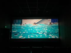 -汉阳天河电影城(王家湾店)