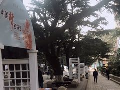 -贮水山儿童公园