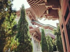 -龙口南山旅游景区