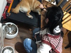 -About Bistro關於·泰式家庭料理