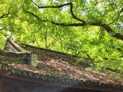 -上海醉白池公园
