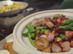 -新白鹿餐厅(虹桥南丰城店)