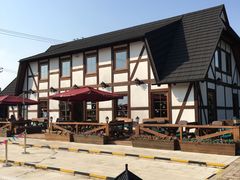 -金山农民画村-枫泾波兰倒置屋