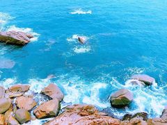 -广东惠东海龟国家级自然保护区