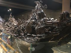 -乐山乌木文化博览苑