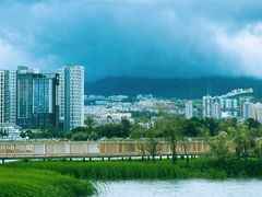 -洱海月湿地公园
