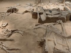 -洛阳周王城天子驾六博物馆