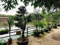 -绿雅居原生态农庄(小涌店)