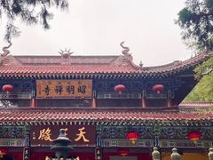 -东天目山风景区