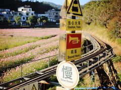 -红山村