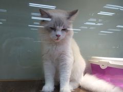 -乐宠宠物店(世纪金源店)