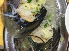 -蚝专家(北滘店)