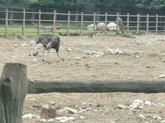 -西安秦岭野生动物园