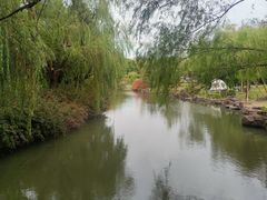 -上海滨江森林公园