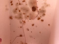 -华莱士·全鸡汉堡(五号路店)