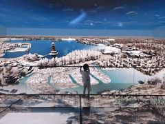 -溱湖国家湿地公园