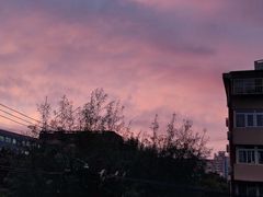 -东来顺铜锅炭火涮肉(上地华联店)