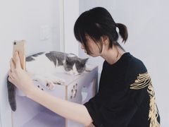 -喵的天空名猫咖啡馆·撸猫·猫舍·用品