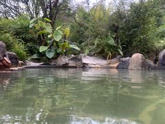 -昆明柏联SPA温泉