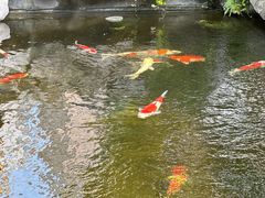 -鲤院·新中式美学·庭院餐厅(夫子庙店)