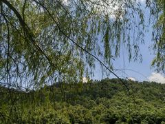 -石燕湖生态旅游景区