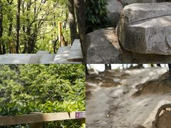 -阳台山森林公园