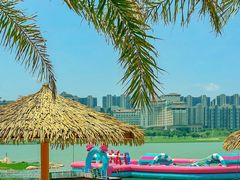 -九龙湖公园