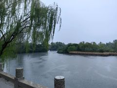 -溱湖国家湿地公园